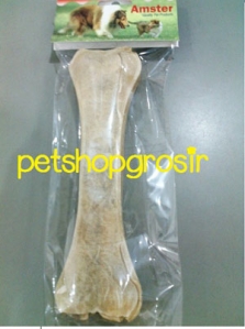 AMSTER TULANG TULANGAN ANJING 