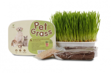 Rumput Vitamin Anjing & Kucing Green Pett Pet Grass 180gr